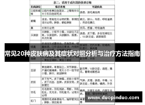 常见20种皮肤病及其症状对照分析与治疗方法指南